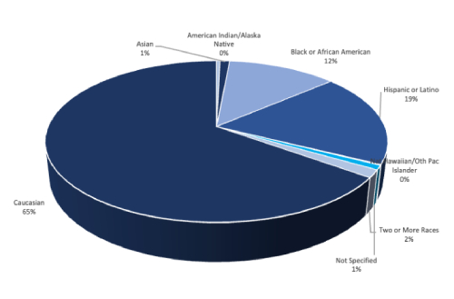 Ethnicity Breakdown